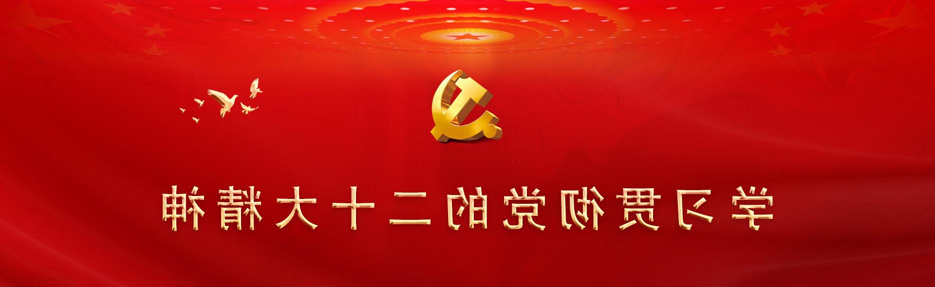 学习贯彻党的二十大精神