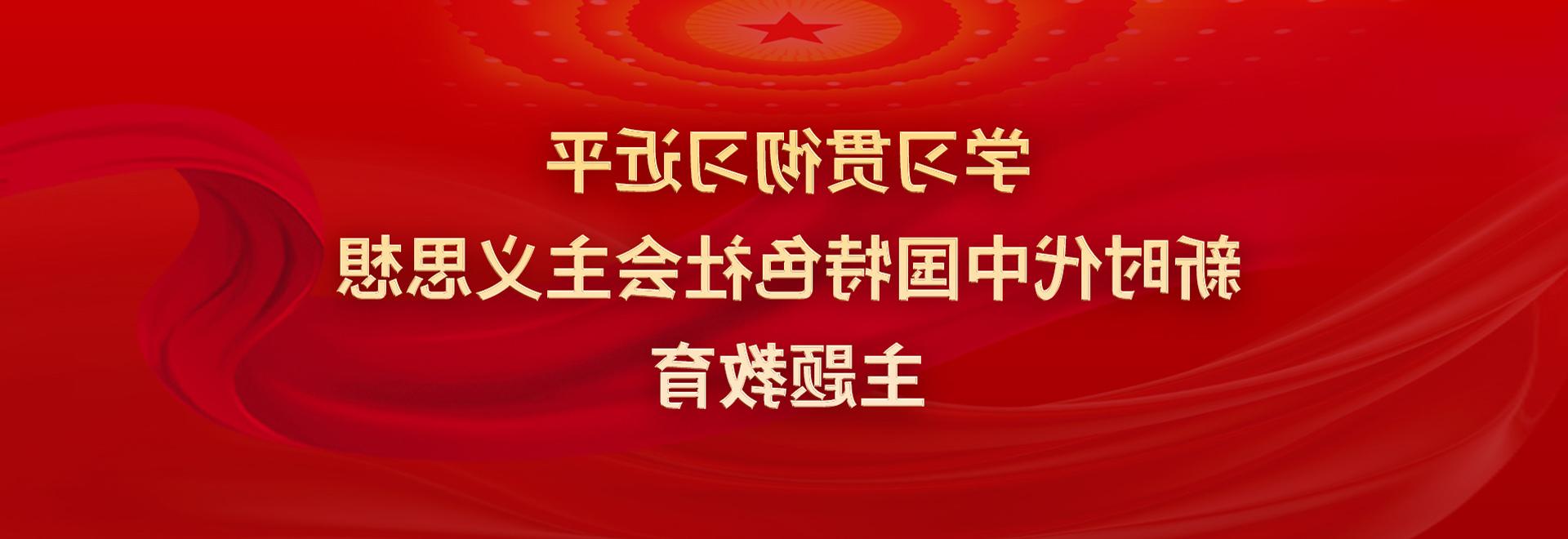 学习贯彻习近平新时代中国特色社会主义思想主题教育